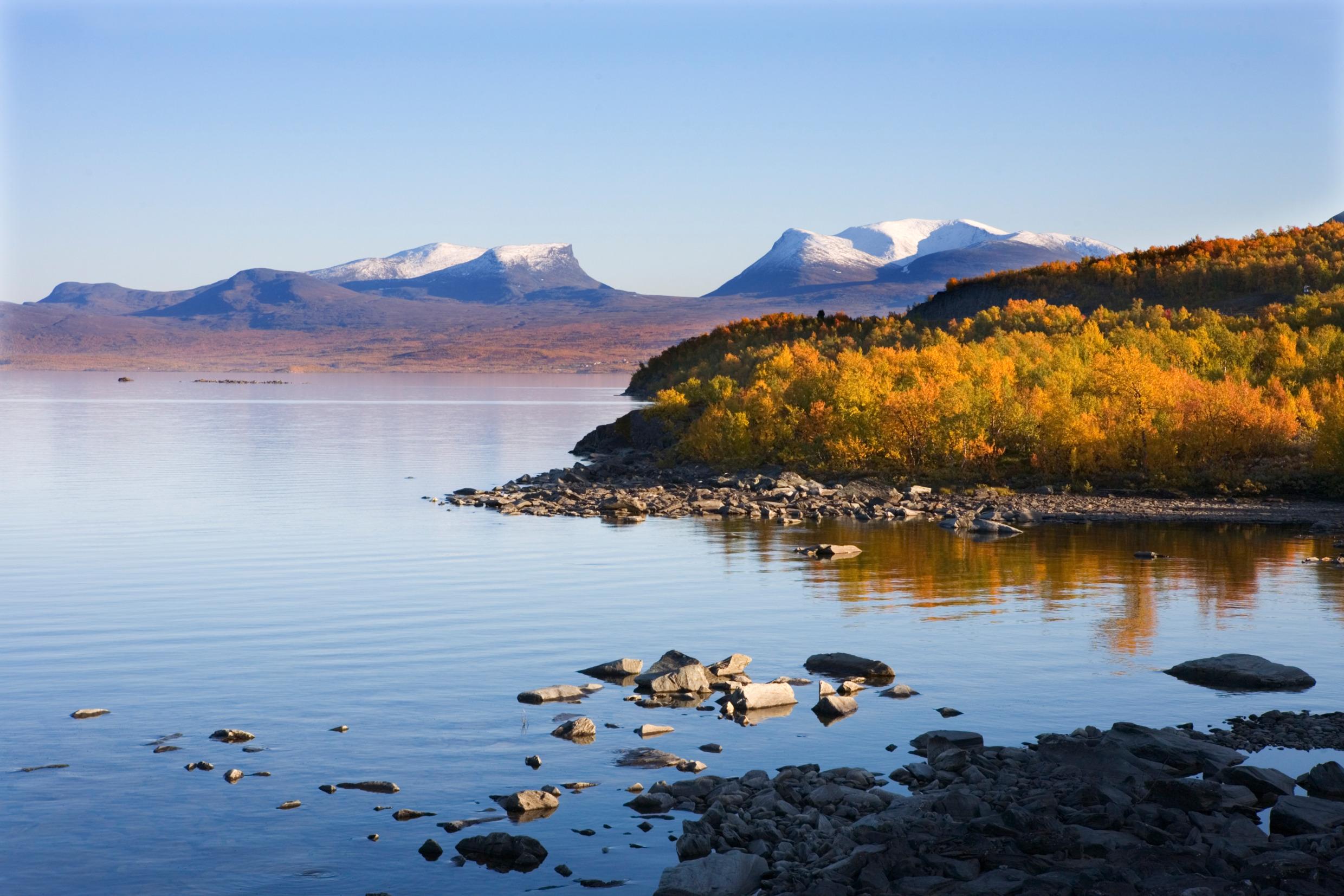 A lake in Abisko with a rocky shoreline and trees in autumn colours, with mountains in the background.